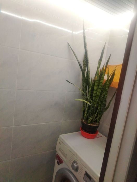 Продаётся 1в2/2/4 Авиасозлар 2, балкон 1,5на6