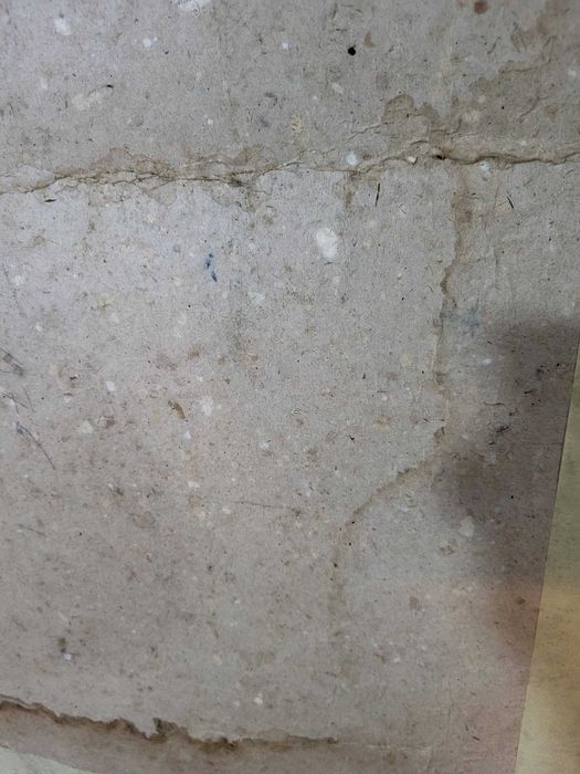 Pictură ulei pe carton, fără semnătură