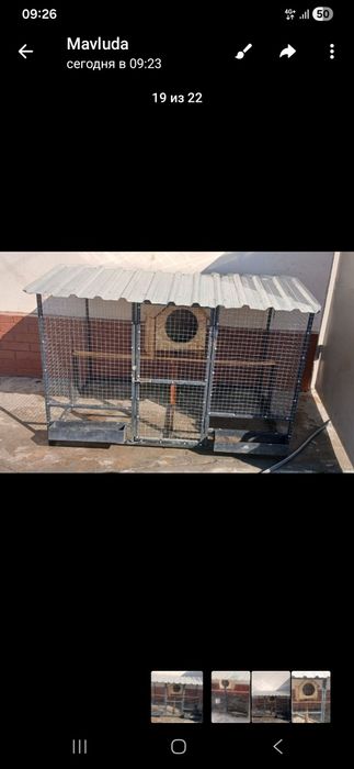 Товук катак сотилади