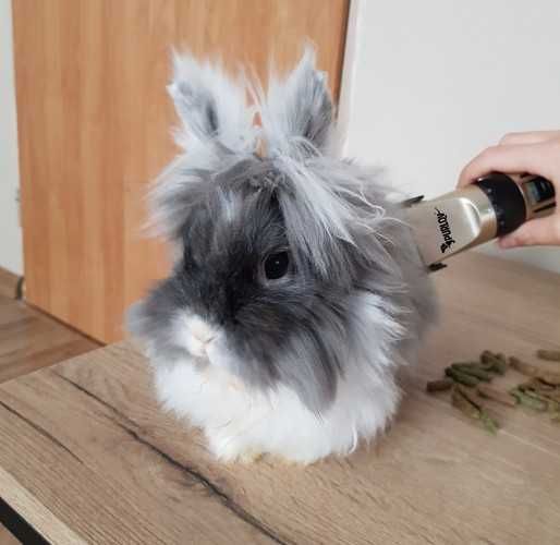 Машинка за подстригване груминг grooming, кучета котки домашни любимци