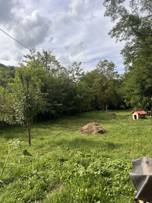 Vand casă la munte, Ocoliș, jud Alba!