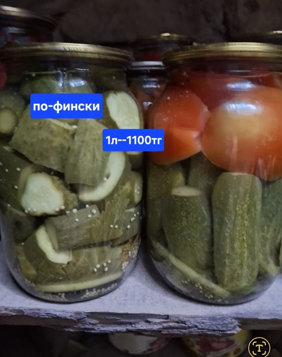 Домашняя засолка 2025г