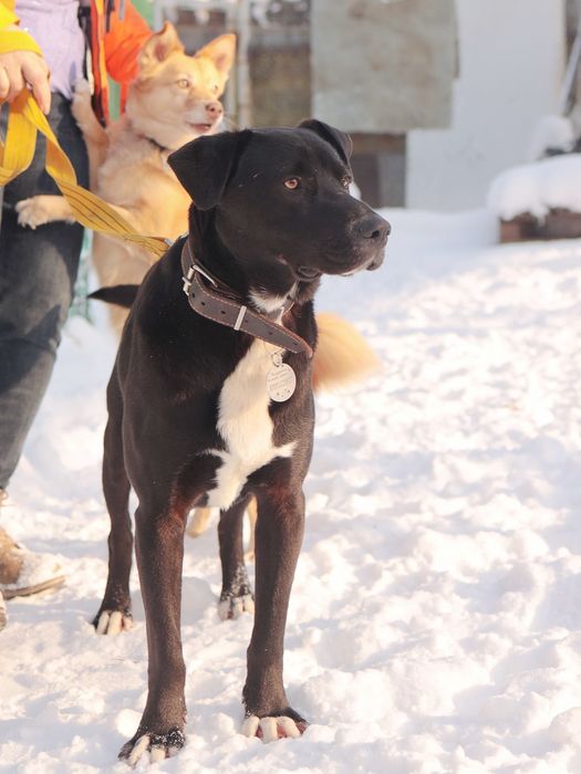 Робинзон в заботливые руки.