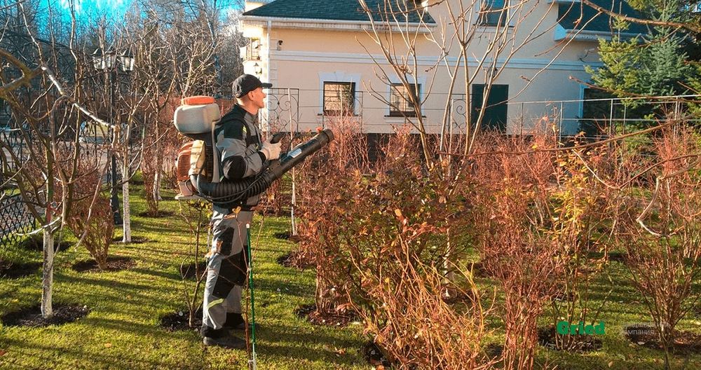 Дарахтларни богларни далаларни дорилаш хизмати