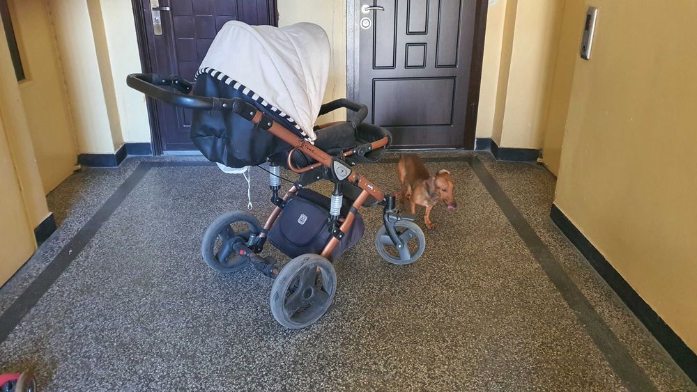 STARS GOLD Бебешка количка 3 в 1 DADA PARADISO