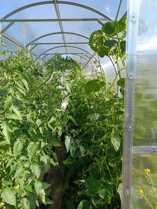 СРОЧНО! Продам дачу. с/о Тихая роща.