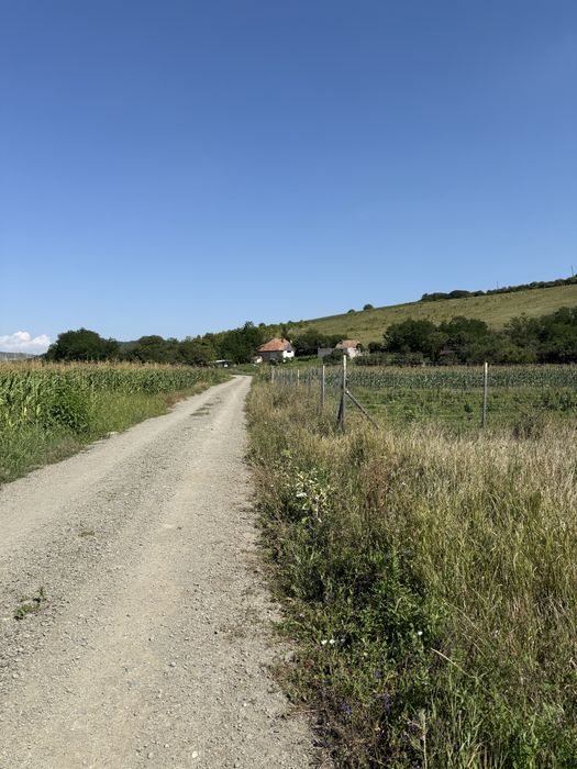 Teren pentru cabana Caianu