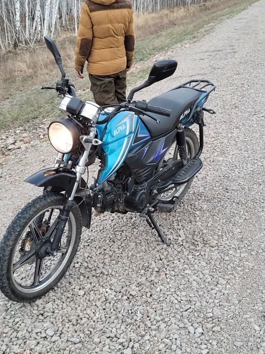 Альфа продам 260. 000