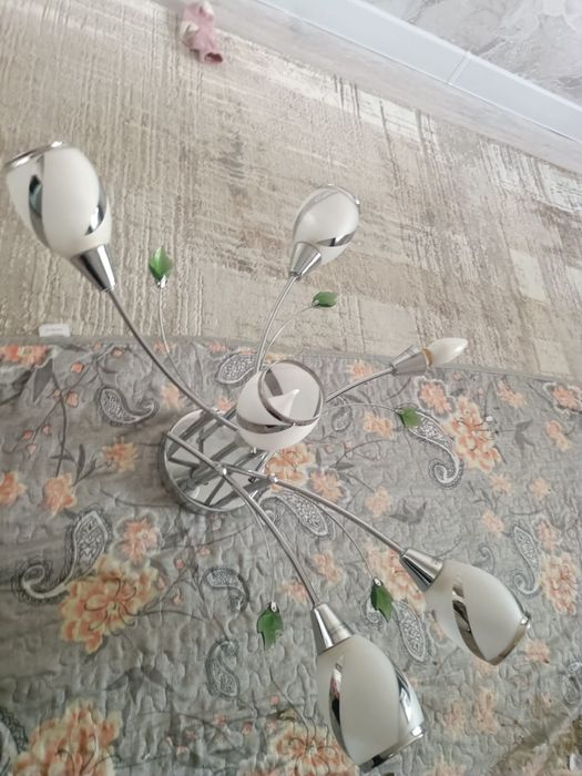 Бесплатно даром