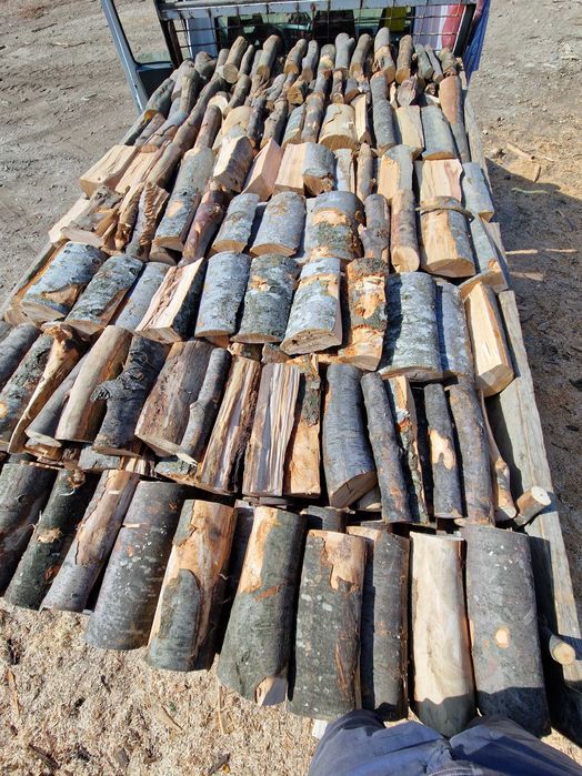 Lemn foc esență tare