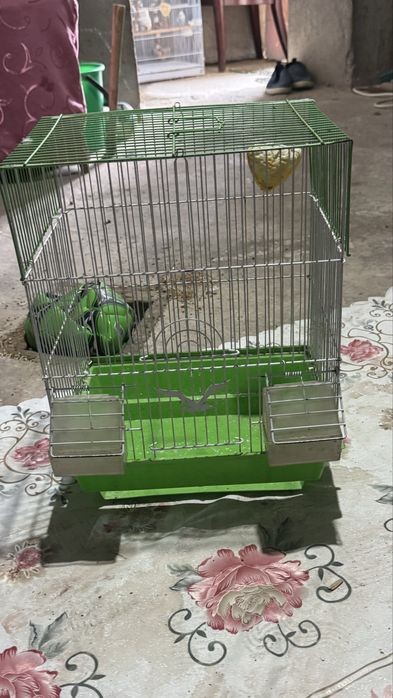 Клетка на папугай