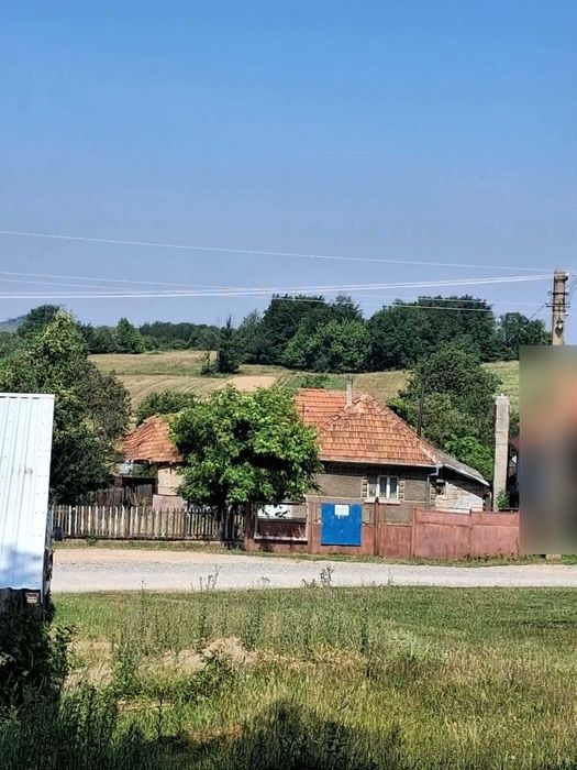 Casă cu teren 8.000 mp și livadă