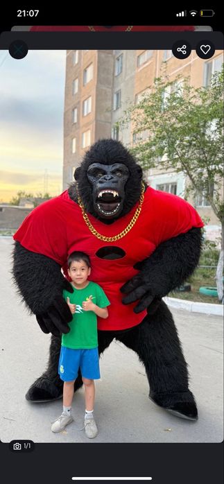 Мишка гарила умка