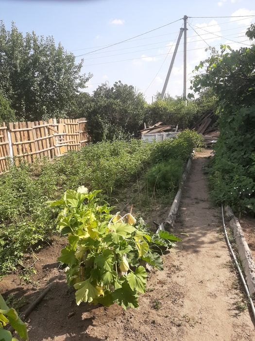 Срочно продам дачу