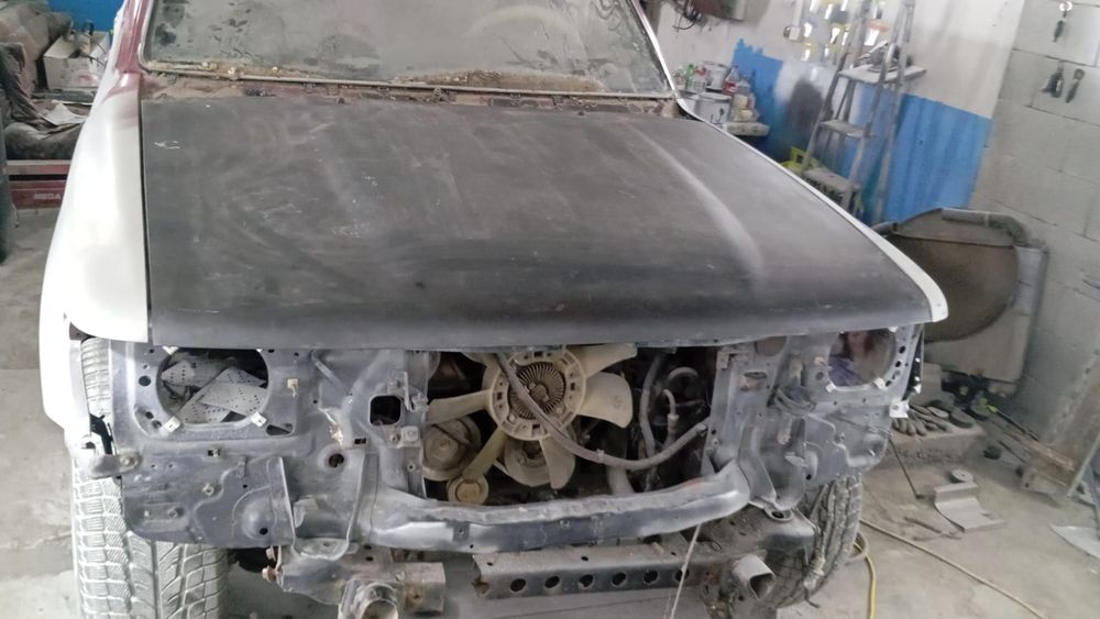 Моляр, Костоправ