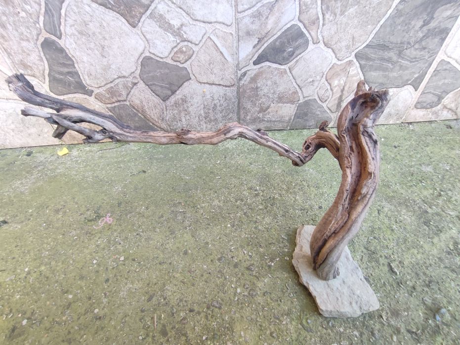 Decorațiuni acvariu - terariu