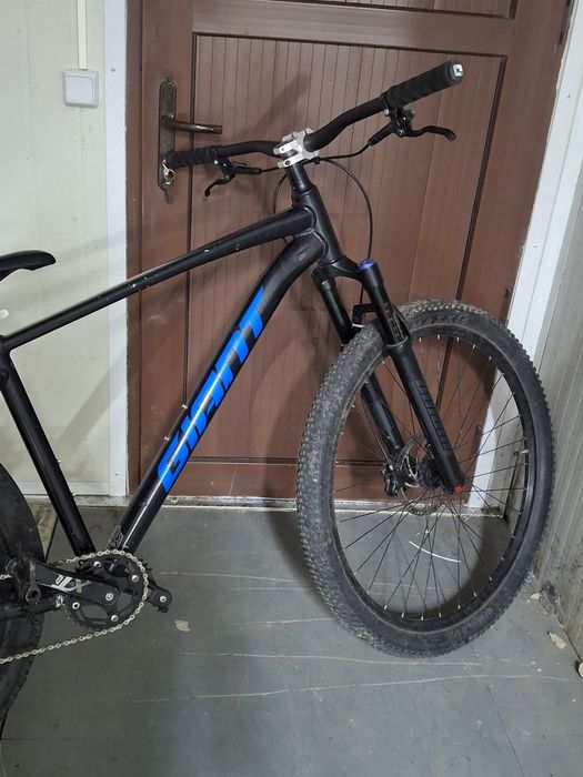 Giant Talon 1 2021