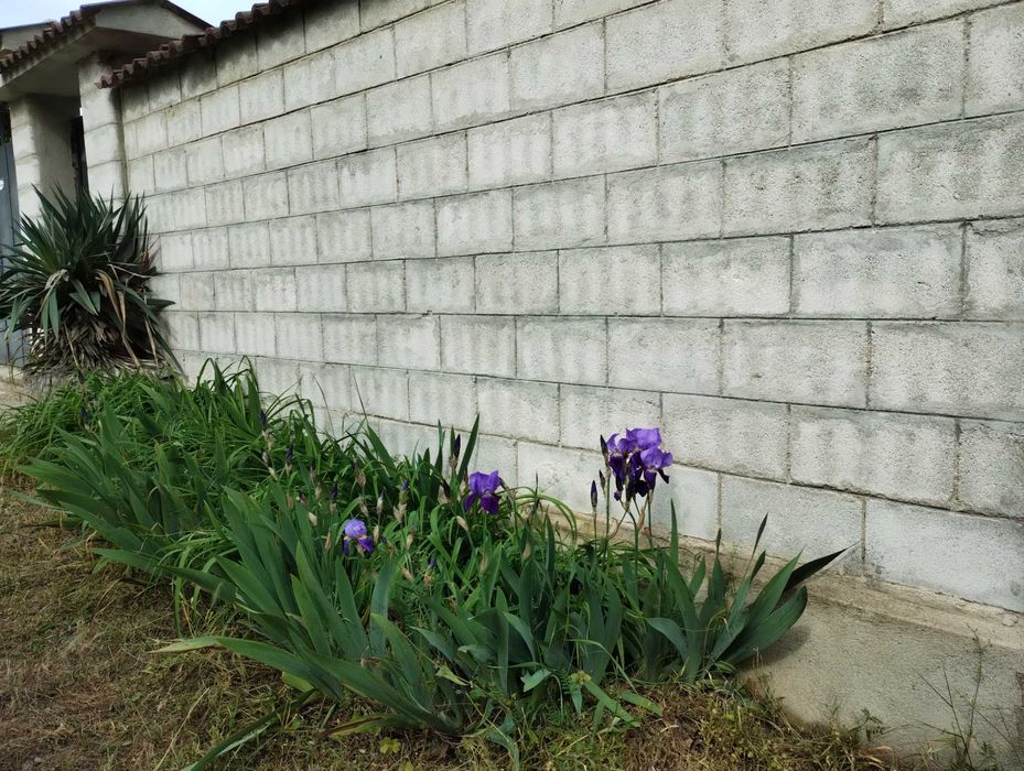 Продава се Къща в Варна, Галата - 286 кв.м за 997 €/кв.м - Снимка #10