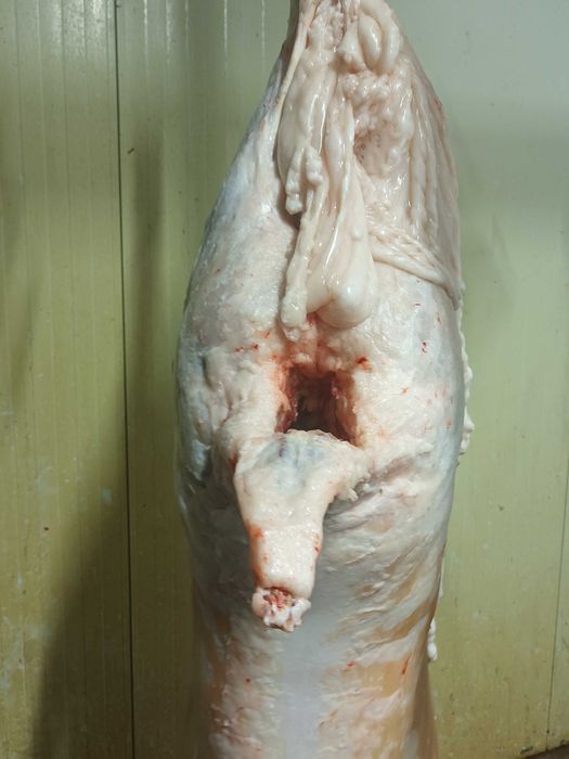 Vind oi miei . Noatine