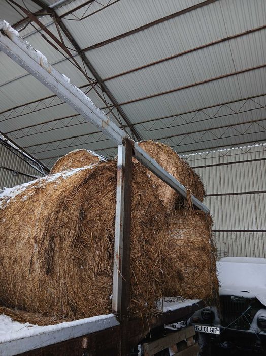 Baloți trifoi calitate bună