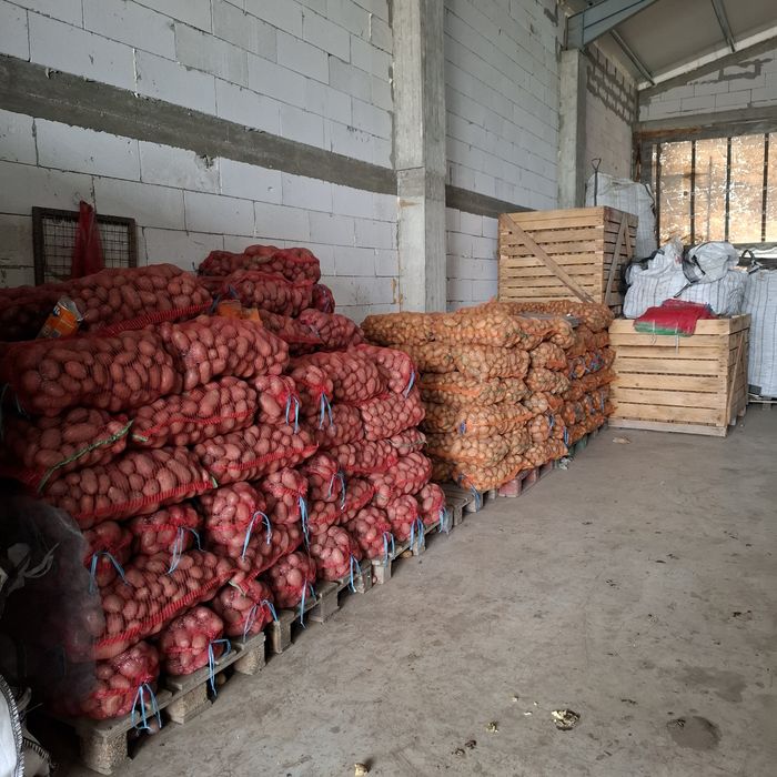 Cartofi de consum alb și roz