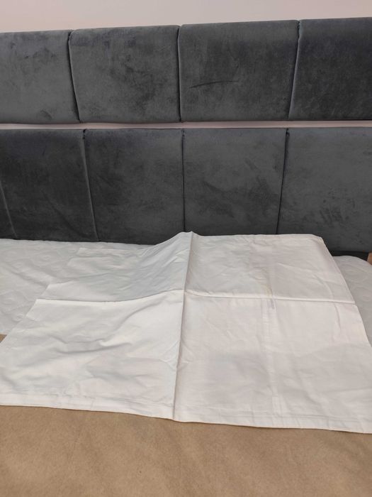 Пликове единични Хасе