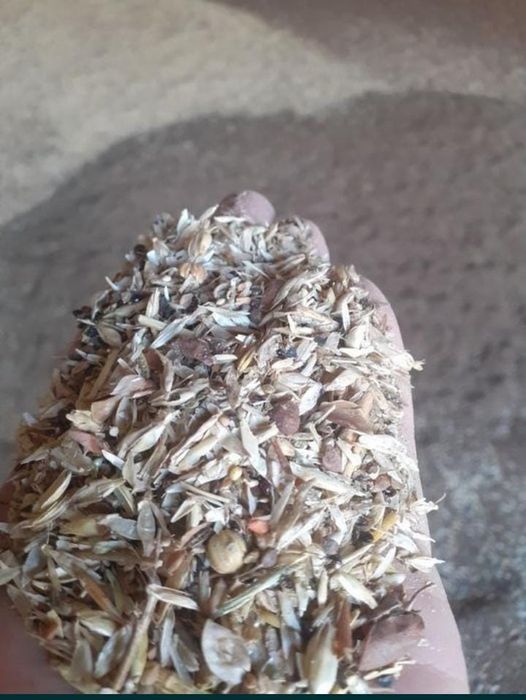 Отходы Полова Отруби Колоски Зерноотходы