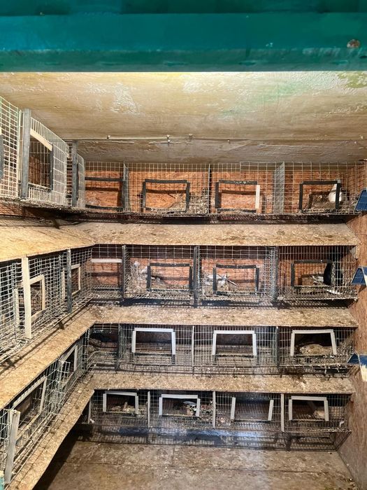 Продам голубятник