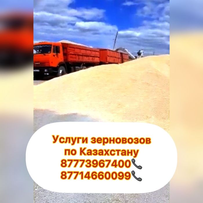 Услуги зерновозов