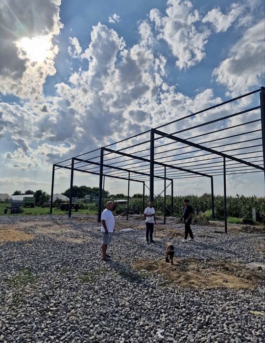 Vand structura metalica completa