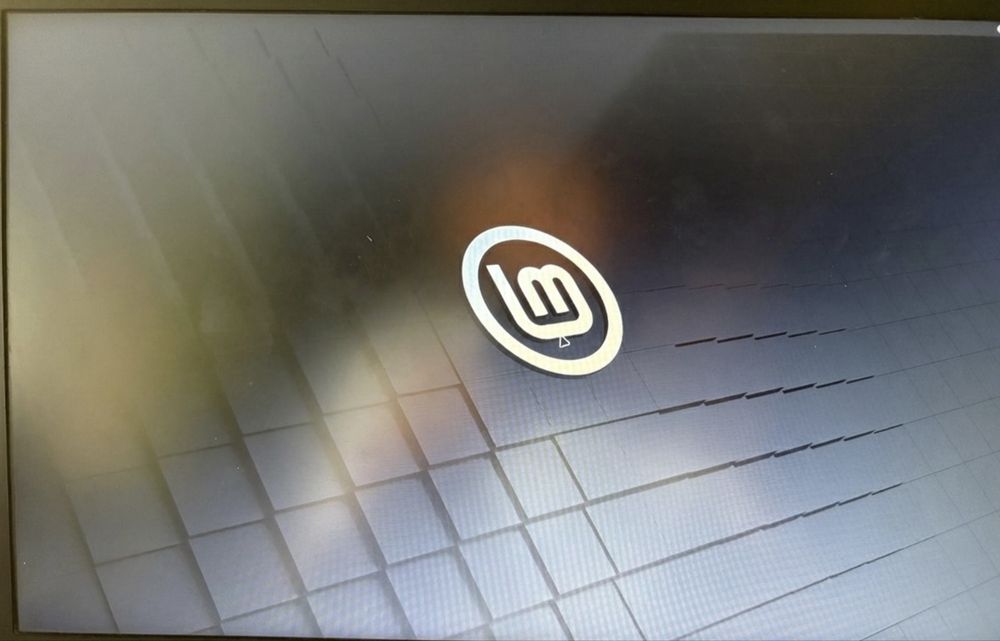 Stick Ubuntu/Linux Mint