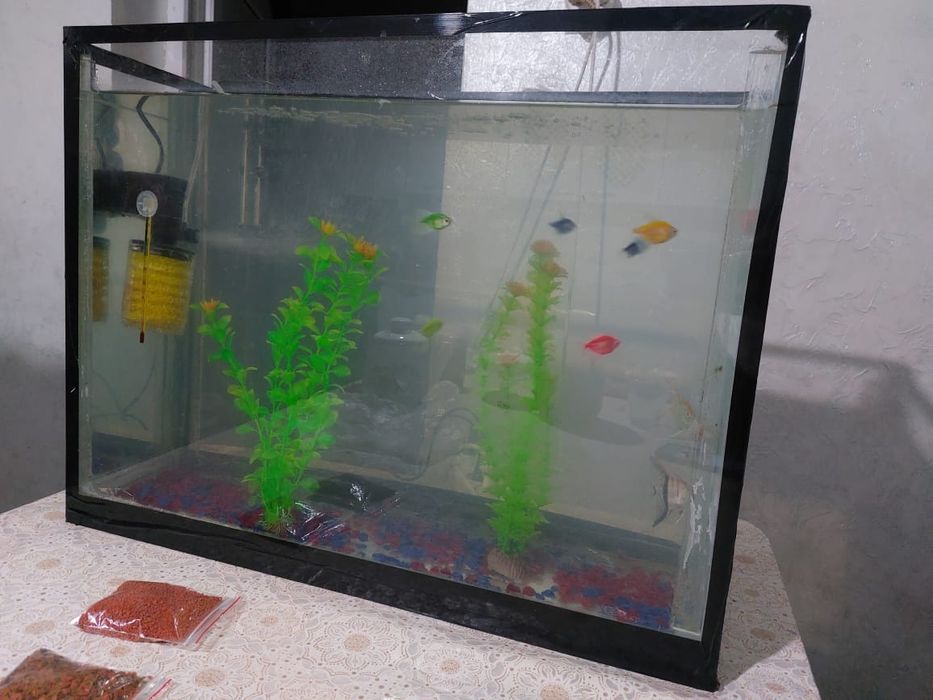 Акварум сатылады