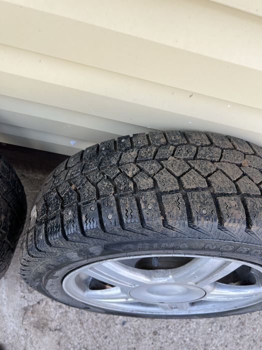 титан Торус р15