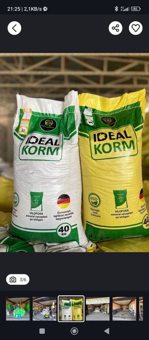 Raps shiroti sifatli