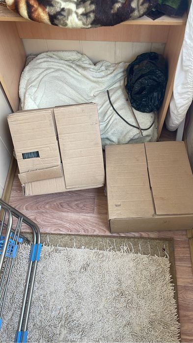 Utp новый бухта