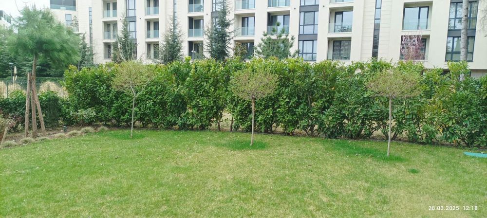 почистване и поддържане на градини и терени