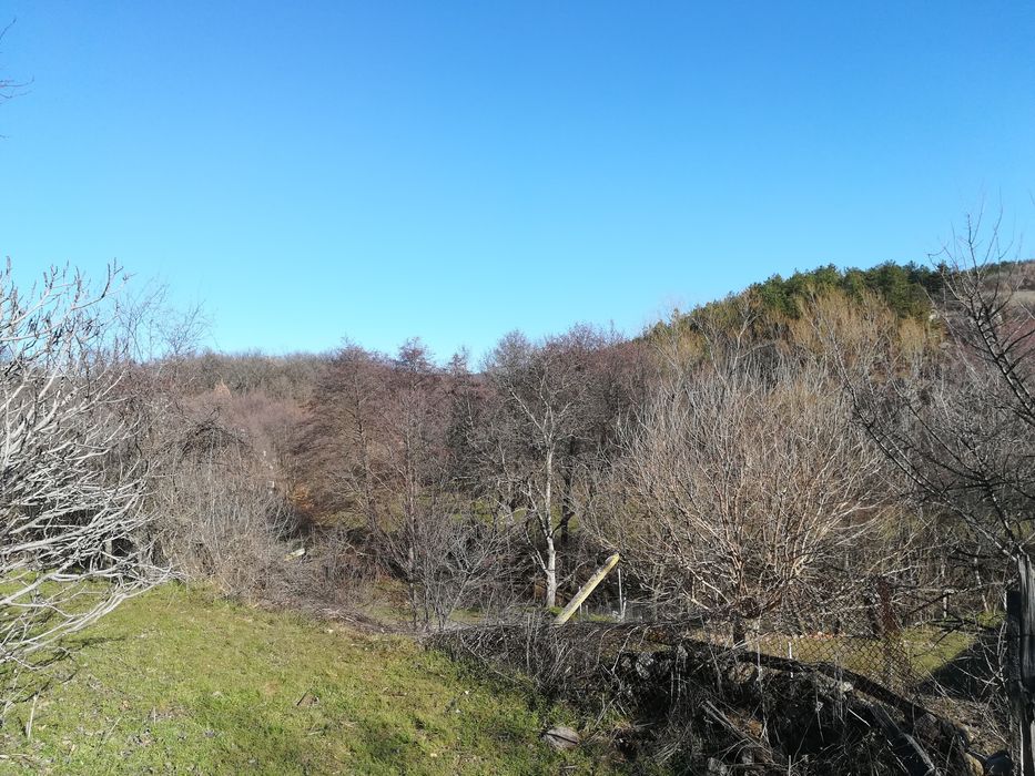 Парцел в село Мътеница