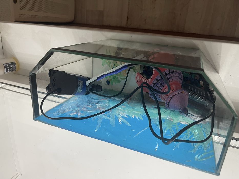 продается аквариум