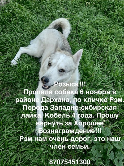 Розыск!!! Прошу помогите найти