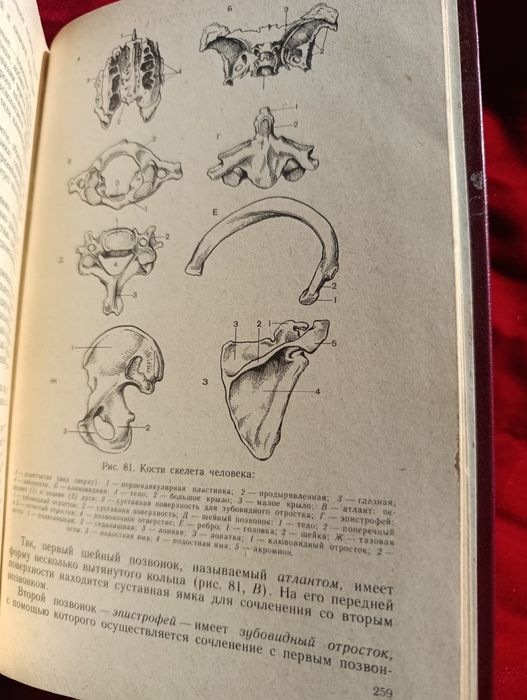 Анатомия издания СССР редкая