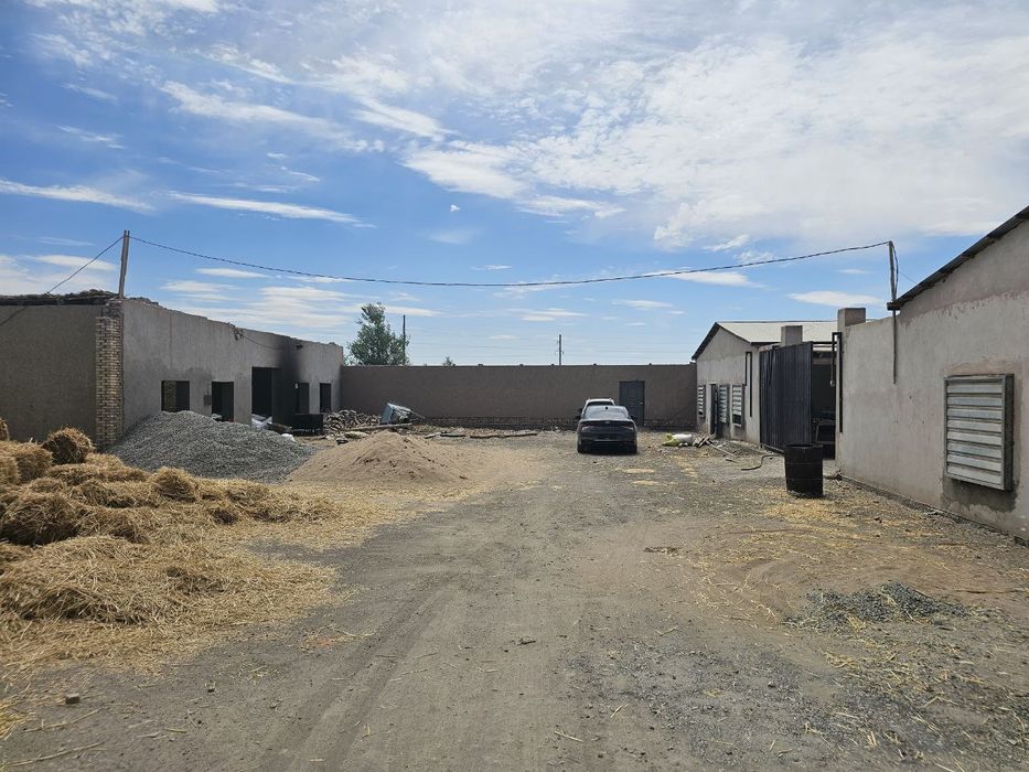 Мол боқиш учун 200 бош мола мўлжалланган ферма ижара