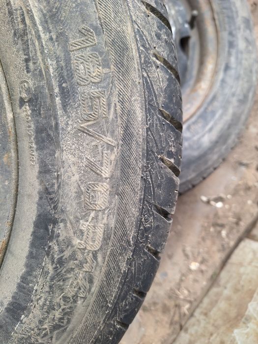 Продам шины пара