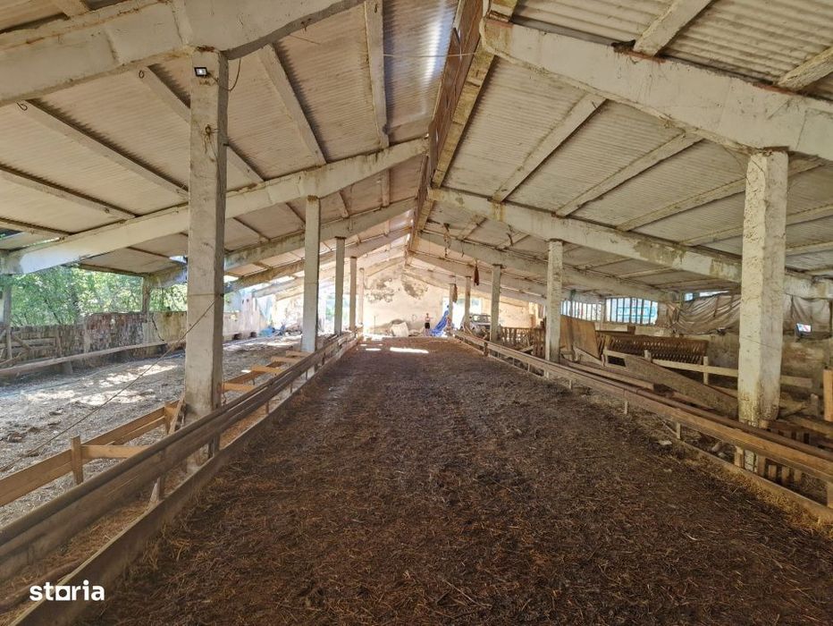 Hala din beton + teren 2.596 mp – Jichisu de Jos