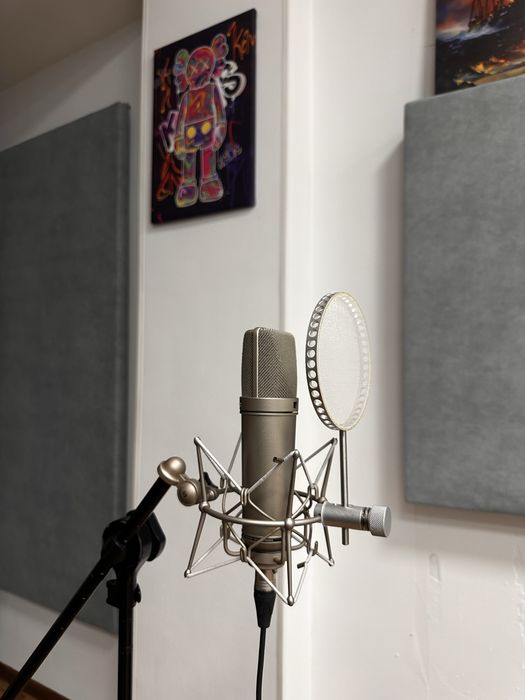 Продам студийный микрофон Neumann U87