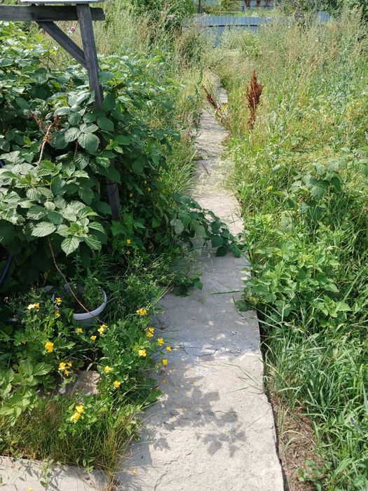 Продажа дачи в меновном