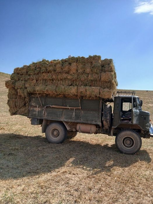 Газ 66 шишига Паркент