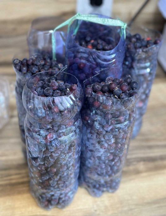 Ирга жидек компоты жидектерден тегін Жеткізу Варенье құлпынай таңқурай