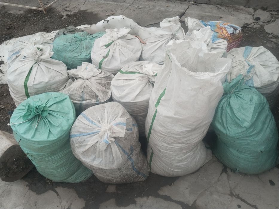 Куриный помьет  тауық көңі