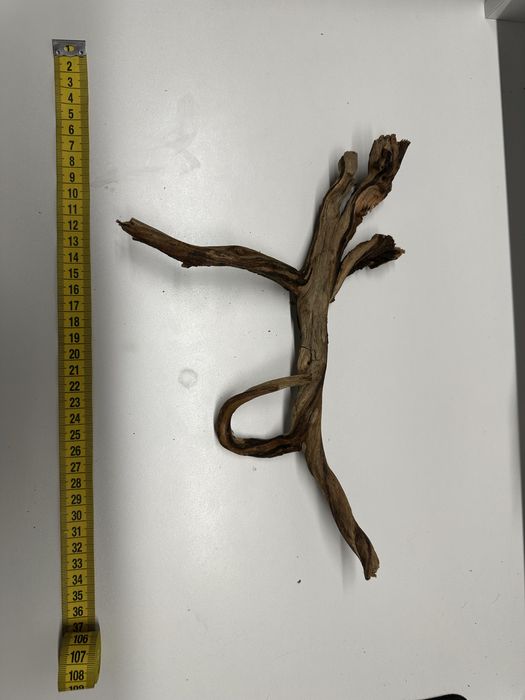 Lemne / radacini acvariu