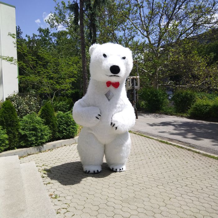 Изненади с гигантска бяла мечка